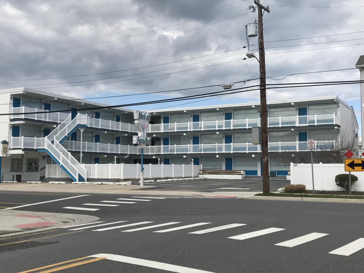 Bird Of Paradise Motel Норт Уайлдууд Екстериор снимка